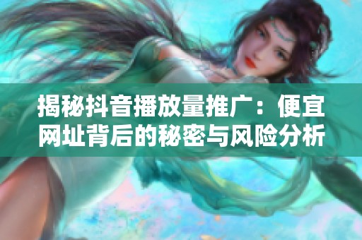 揭秘抖音播放量推广：便宜网址背后的秘密与风险分析