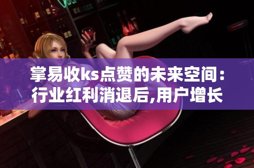 掌易收ks点赞的未来空间:行业红利消退后,用户增长如何持续? 掌易收ks点赞的未来空间:行业红利消退后,用户增长如何持续?