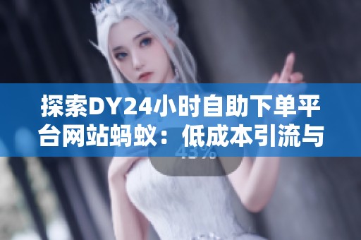 探索DY24小时自助下单平台网站蚂蚁：低成本引流与推广工具的新利器
