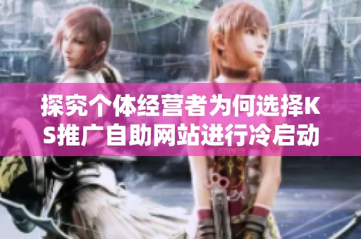 探究个体经营者为何选择KS推广自助网站进行冷启动