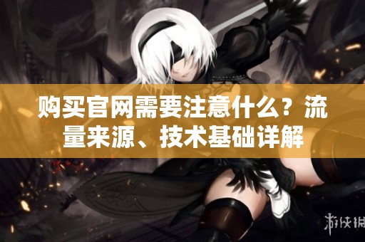 购买官网需要注意什么?流量来源、技术基础详解 购买官网需要注意什么?流量来源、技术基础详解