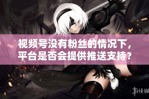 视频号没有粉丝的情况下,平台是否会提供推送支持? 视频号没有粉丝的情况下,平台是否会提供推送支持?