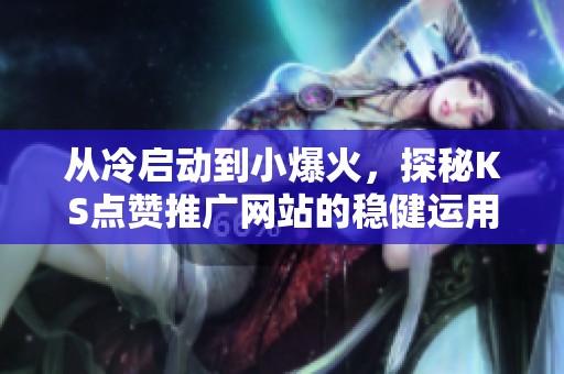 从冷启动到小爆火，探秘KS点赞推广网站的稳健运用策略