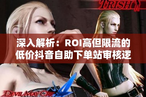 深入解析：ROI高但限流的低价抖音自助下单站审核逻辑
