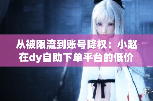 从被限流到账号降权：小赵在dy自助下单平台的低价踩坑经历与复盘分析