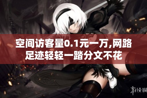 空间访客量0.1元一万,网路足迹轻轻一踏分文不花