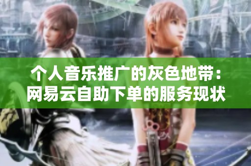 个人音乐推广的灰色地带:网易云自助下单的服务现状与用户反馈 个人音乐推广的灰色地带:网易云自助下单的服务现状与用户反馈