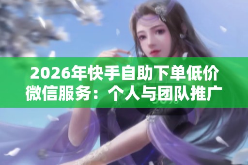 2026年快手自助下单低价微信服务:个人与团队推广效果全面对比分析 2026年快手自助下单低价微信服务:个人与团队推广效果全面对比分析