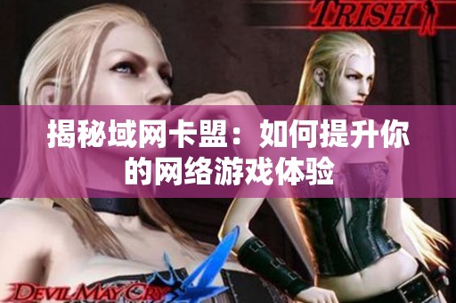 揭秘域网卡盟:如何提升你的网络游戏体验 揭秘域网卡盟:如何提升你的网络游戏体验