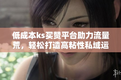 低成本ks买赞平台助力流量荒,轻松打造高粘性私域运营 低成本ks买赞平台助力流量荒,轻松打造高粘性私域运营