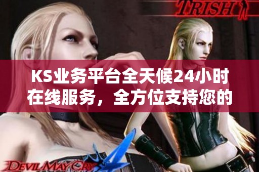 KS业务平台全天候24小时在线服务,全方位支持您的业务需求 KS业务平台全天候24小时在线服务,全方位支持您的业务需求