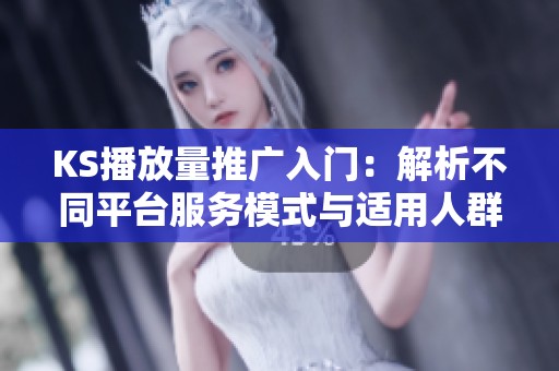 KS播放量推广入门：解析不同平台服务模式与适用人群的划分