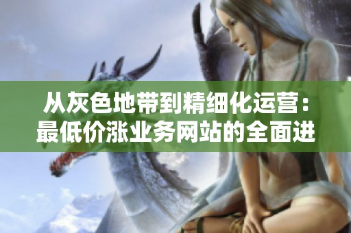 从灰色地带到精细化运营:最低价涨业务网站的全面进化与转型探讨 从灰色地带到精细化运营:最低价涨业务网站的全面进化与转型探讨