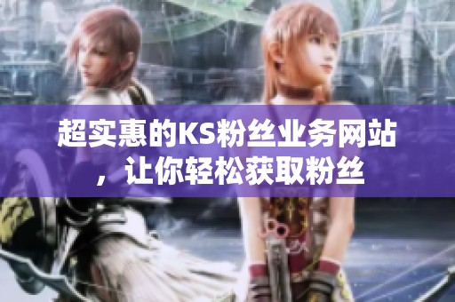 超实惠的KS粉丝业务网站，让你轻松获取粉丝