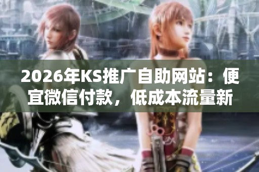 2026年KS推广自助网站：便宜微信付款，低成本流量新选择！