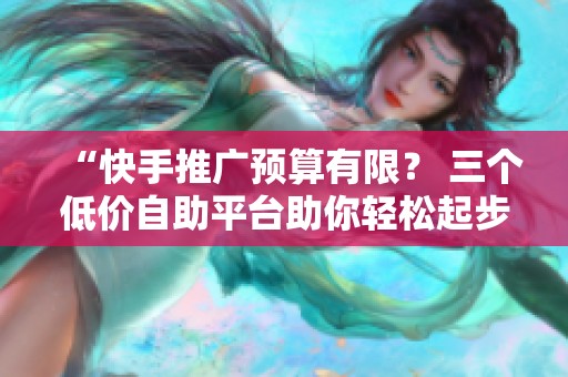 “快手推广预算有限？ 三个低价自助平台助你轻松起步”