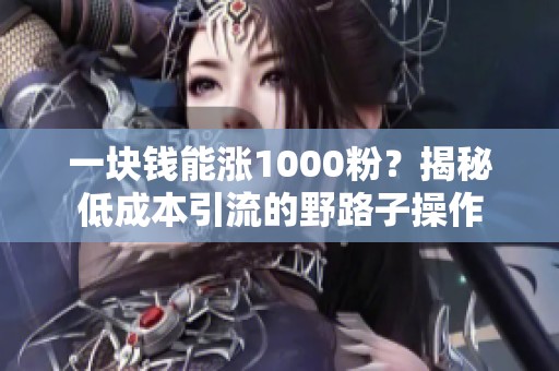 一块钱能涨1000粉?揭秘低成本引流的野路子操作 一块钱能涨1000粉?揭秘低成本引流的野路子操作