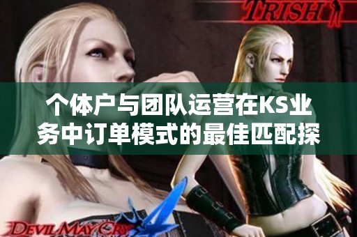 个体户与团队运营在KS业务中订单模式的最佳匹配探讨 个体户与团队运营在KS业务中订单模式的最佳匹配探讨
