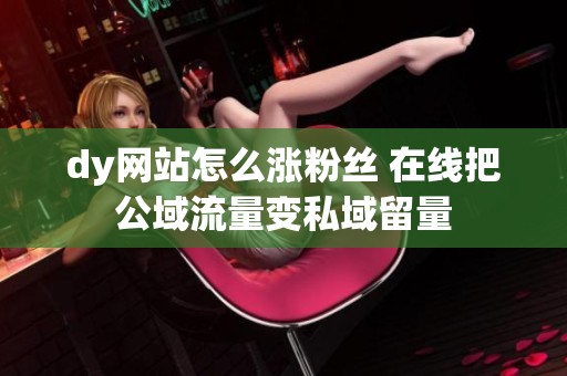 dy网站怎么涨粉丝 在线把公域流量变私域留量