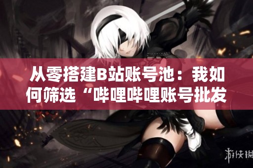 从零搭建B站账号池：我如何筛选“哔哩哔哩账号批发自动发卡网”的有效策略与技巧